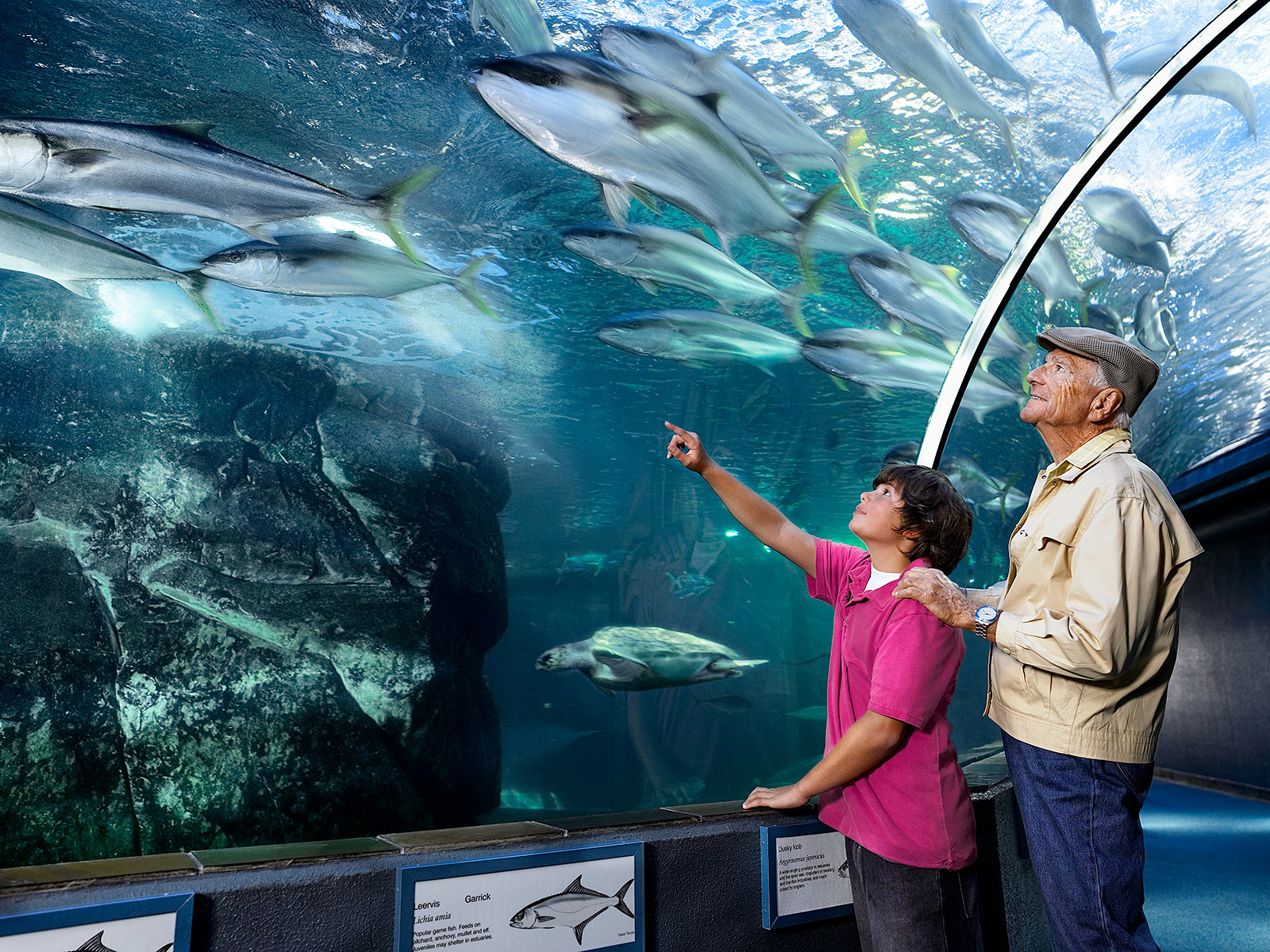 Client: Telekom Agency: Interbrand Zintzmeyer & Lux Zrich